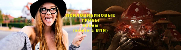 герыч Зерноград