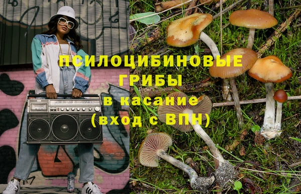 ПСИЛОЦИБИНОВЫЕ ГРИБЫ Зеленокумск