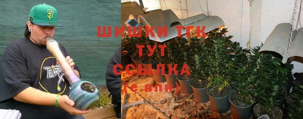 ПСИЛОЦИБИНОВЫЕ ГРИБЫ Зеленокумск