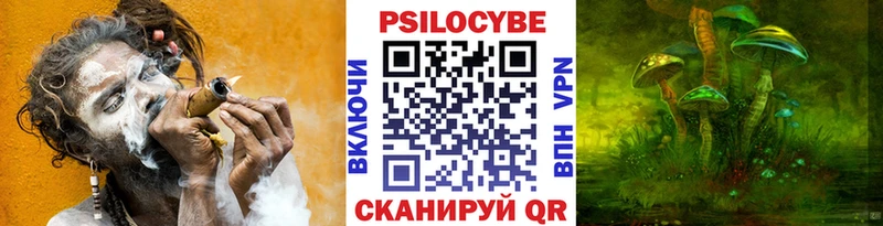Псилоцибиновые грибы GOLDEN TEACHER  Купить закладки  Татарск 